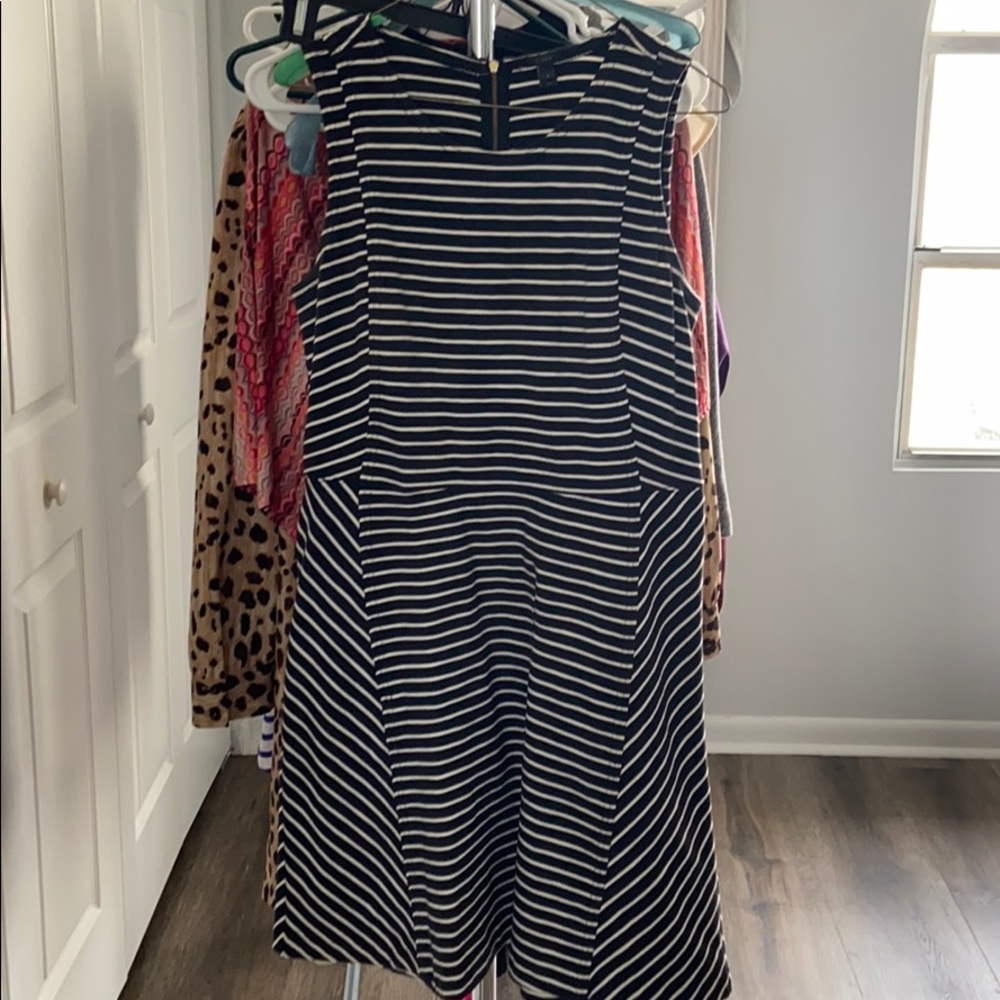Striped Stretch J Crew Dress